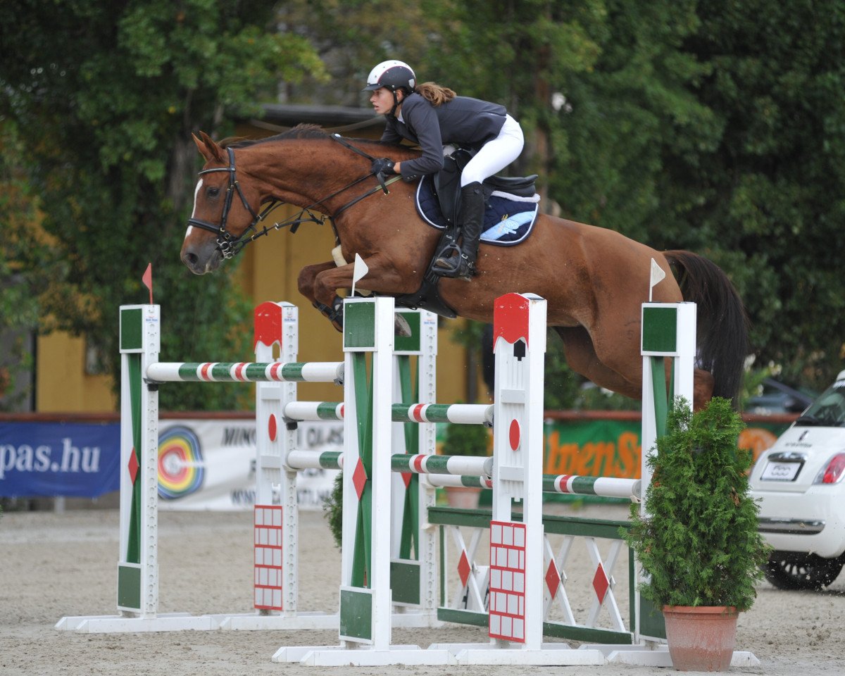 jumper Toleda (Württemberger, 2001, from Tolstoi)