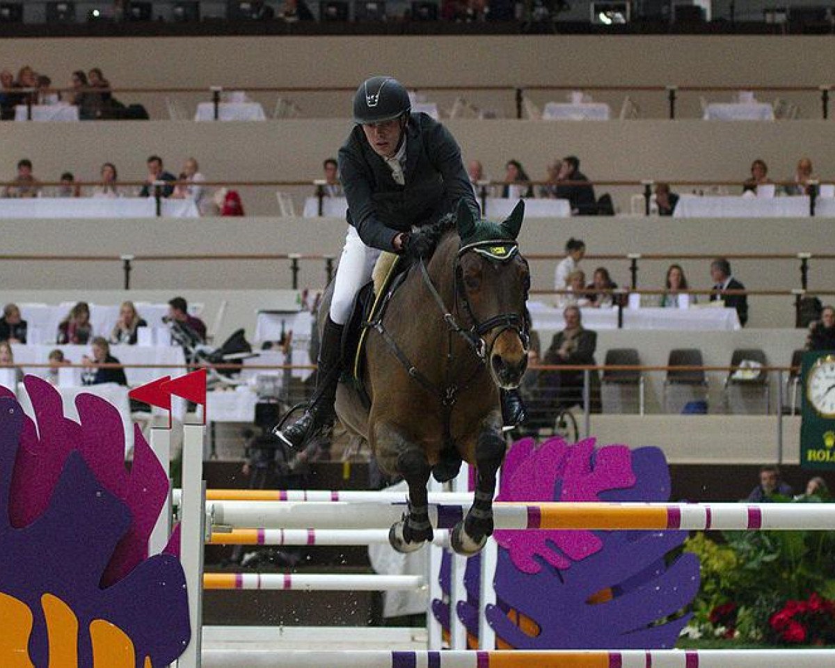 stallion Quite Zero (Holsteiner, 2004, from Quite Capitol)