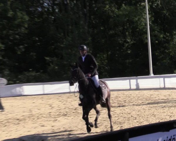 Reitturnier Buchenhof-Ibbenbüren 2020