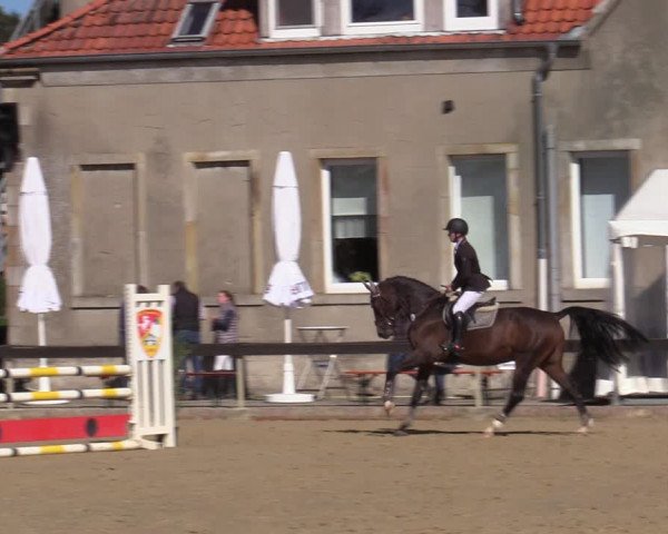 Reitturnier Buchenhof-Ibbenbüren 2020