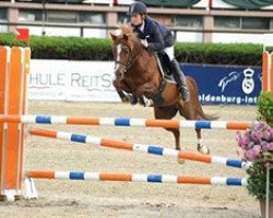 broodmare Nicola 2 (German Riding Pony, 1996, from Playback)