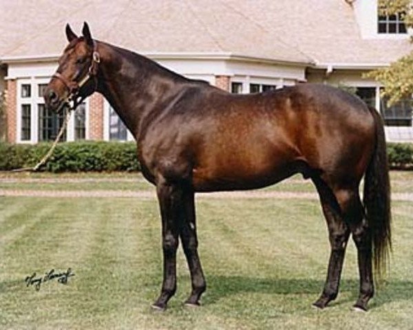 stallion Pleasant Tap xx (Thoroughbred, 1987, from Pleasant Colony xx)