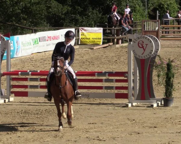 Reitturnier Albersloh 2020