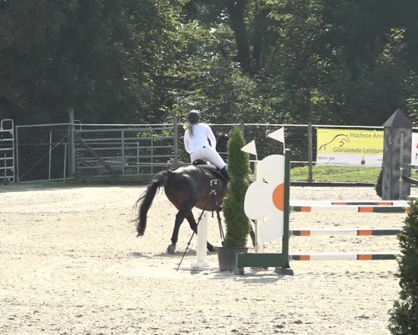 Reitturnier Winkel 2020