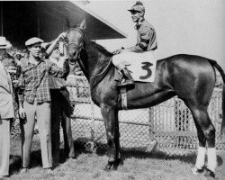 broodmare Miz Clementine xx (Thoroughbred, 1951, from Bull Lea xx)