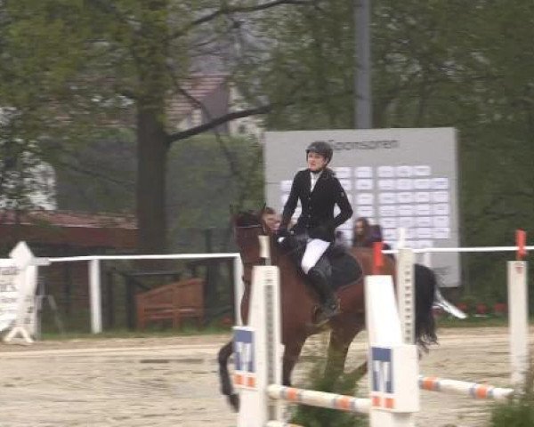 jumper Darina 143 (Hanoverian, 2009, from Damsey FRH)