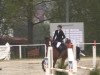 jumper Darina 143 (Hanoverian, 2009, from Damsey FRH)