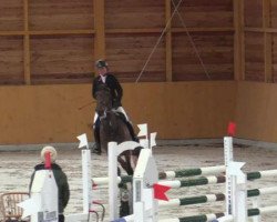 jumper Inhotep by Sl (Belgian Warmblood, 2008, from Nabab de Rêve)