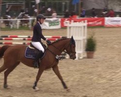 jumper Simsalabim 60 (Hanoverian, 2011, from Stolzenberg)