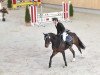 dressage horse Choupette 3 (Bavarian, 2009, from Chat qui Rit de L)