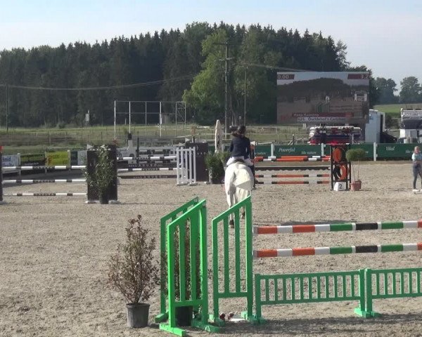 Reitturnier Sauldorf-Boll 2020