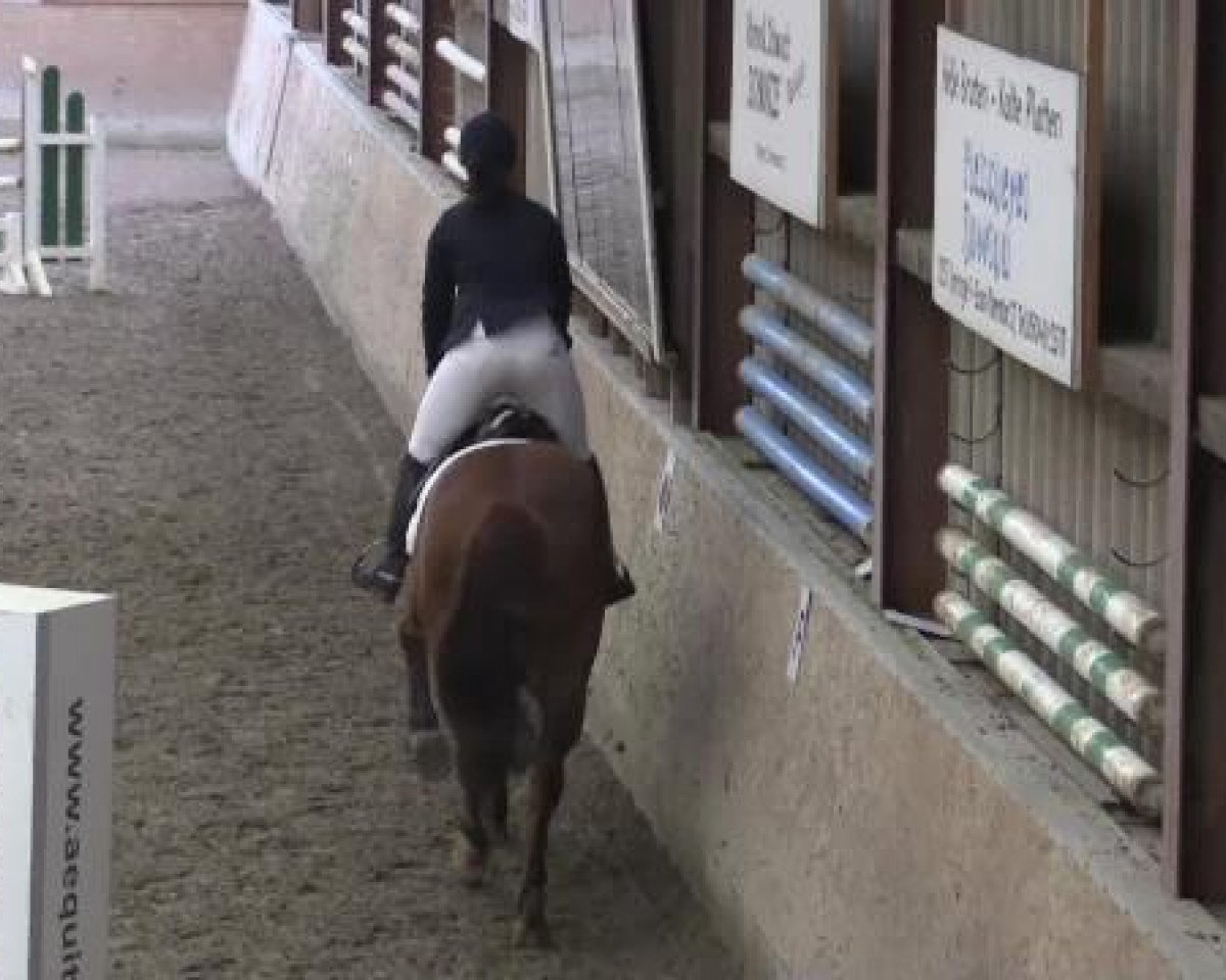 jumper All summer long (Bavarian, 2006, from Acajou 51)