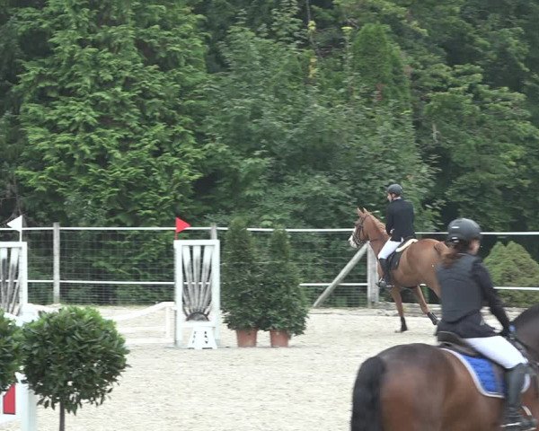 Reitturnier Winkel 2020