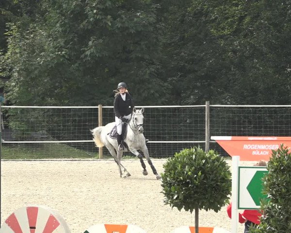 Reitturnier Winkel 2020