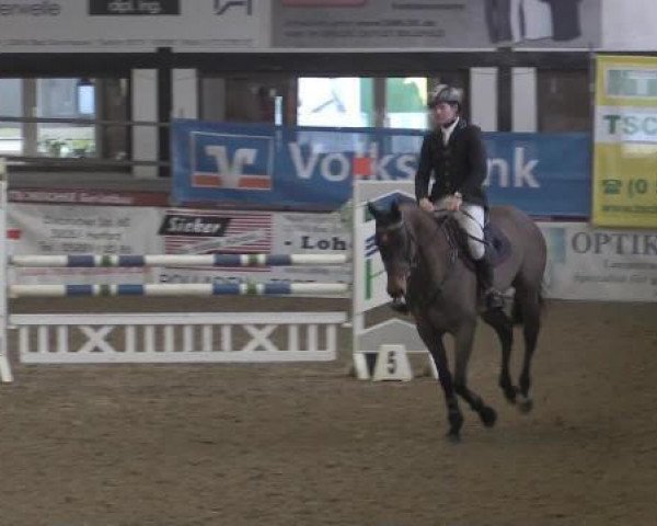 jumper Lady For Ever (Oldenburg show jumper, 2009, from Lordanos)