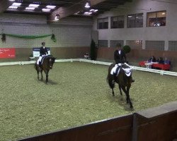 dressage horse Gaudii (Polish Warmblood, 2006, from Emetyt AA)