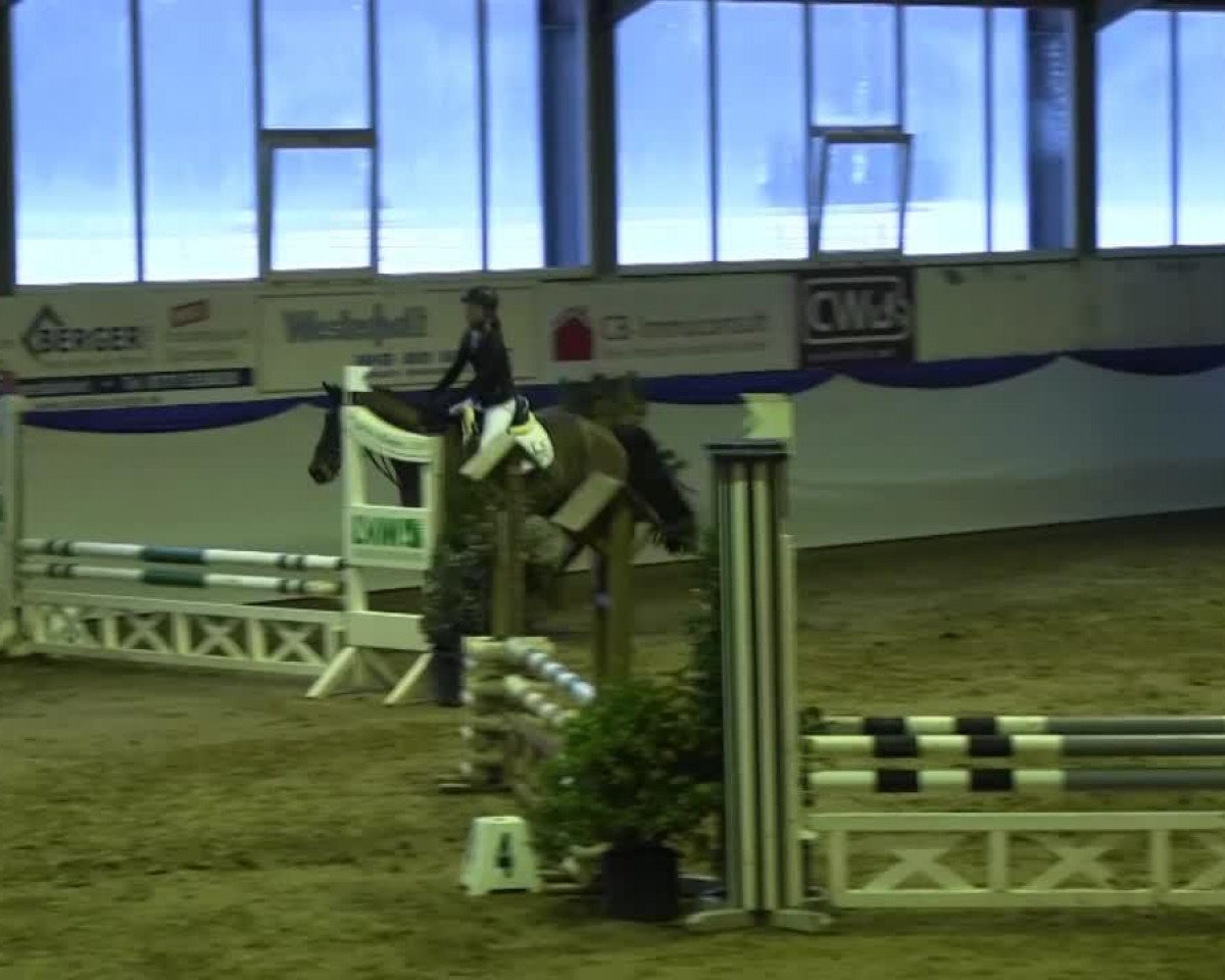 Dressurpferd Copabella (Holsteiner, 2008, von Canturo)