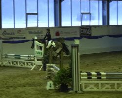 dressage horse Copabella (Holsteiner, 2008, from Canturo)