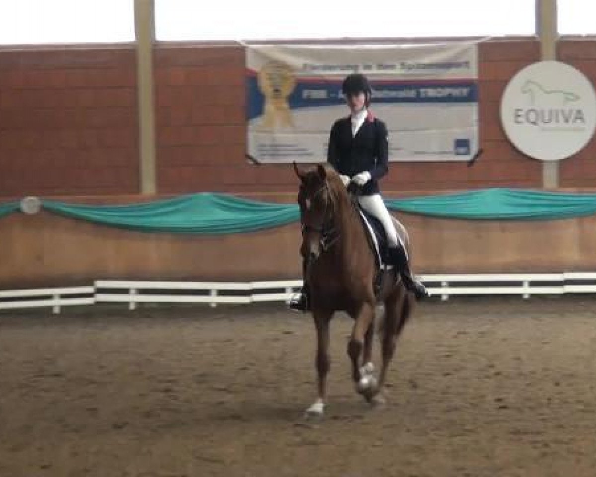 dressage horse Udette (unknown, 2004)