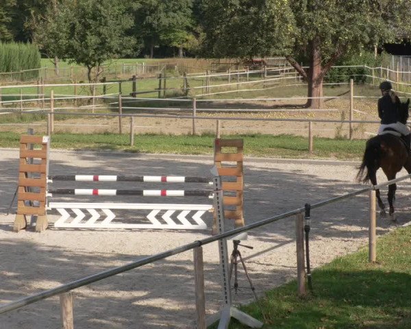 Reitturnier Köngen 2020