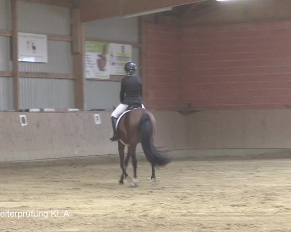 Reitturnier Uder, Reitanlage Kobold 2020