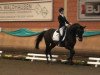 dressage horse Opal 94 (Polish Warmblood, 2008)