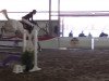 jumper Bella Donna (KWPN (Royal Dutch Sporthorse), 2006)