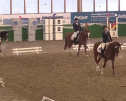 dressage horse Corina 117 (German Riding Pony, 2010, from FS Champion de Luxe)