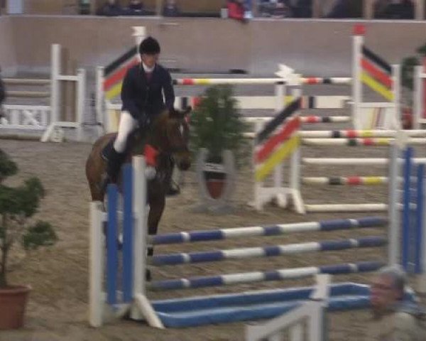 jumper Quintus PJ (Hanoverian, 2011, from FRH Quaid)