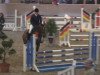 jumper Quintus PJ (Hanoverian, 2011, from FRH Quaid)