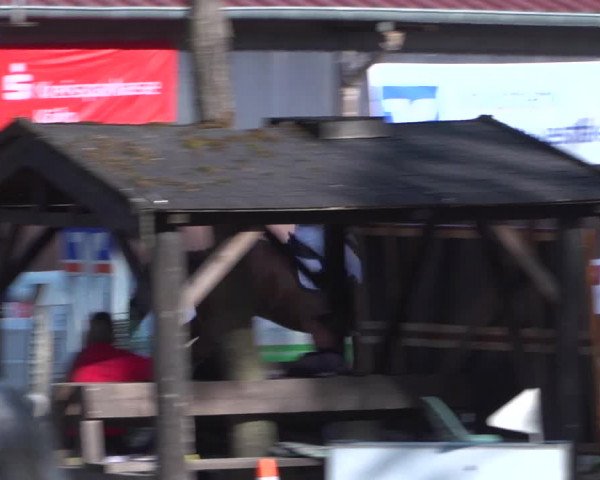 Reitturnier Marienheide-Kempershöhe 2020