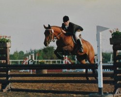 Zuchtstute Silverlea Capricorn (New-Forest-Pony, 1972, von Silverlea Grey Minstrel)