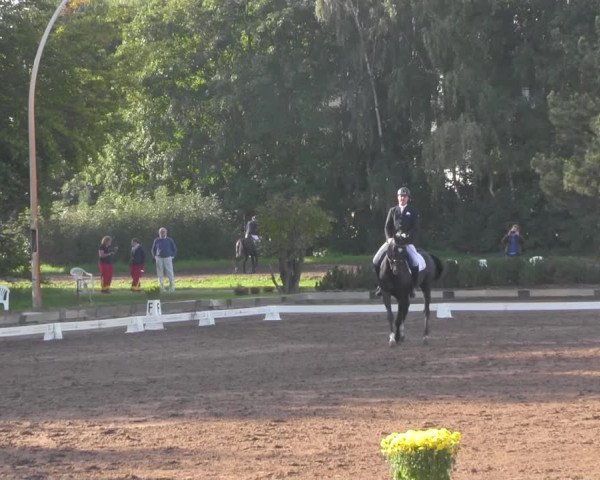 Reitturnier Dallgow 2020