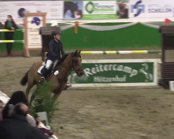 jumper Panoog de l'Aube (French Pony, 2003, from Kantje's Ronaldo)