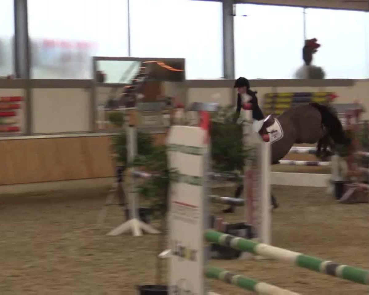 jumper Fibonacci 18 (Westphalian, 2010, from For Contest)