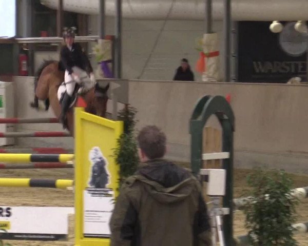 Springpferd Callahan 2 (Trakehner, 2009, von Connery)