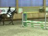 jumper Passepartout 64 (German Sport Horse, 2009, from Pasco)