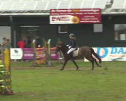 dressage horse Catch me if you can Chicco (German Riding Pony, 2009, from Contus)