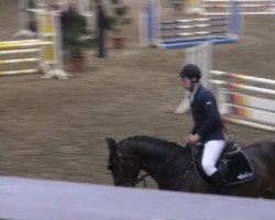 jumper El Bonito 7 (Hanoverian, 2010, from El Bundy)