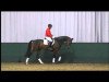 dressage horse Romano K (Westphalian, 2008, from Rubitano)