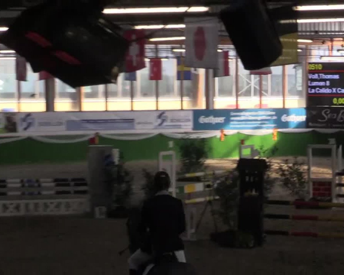 Springpferd Lumen 8 (Westfale, 2010, von La Calido)