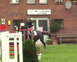 dressage horse Sound of Silence 5 (Rhinelander, 2007, from Saint Tropez)