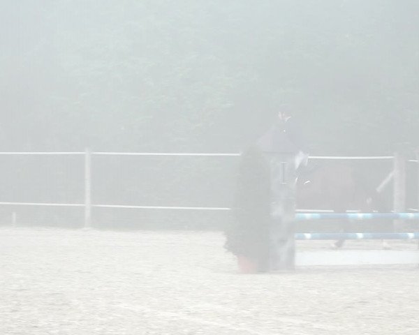 Reitturnier Winkel 2020