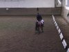 dressage horse Calypso 450 (Welsh-Pony (Section B), 2000, from Courage)