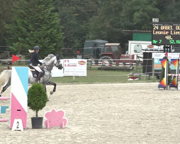 Reitturnier Winkel 2020