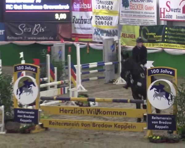 jumper Heartbreaker 70 (Hanoverian, 2007, from Hohenstein I)