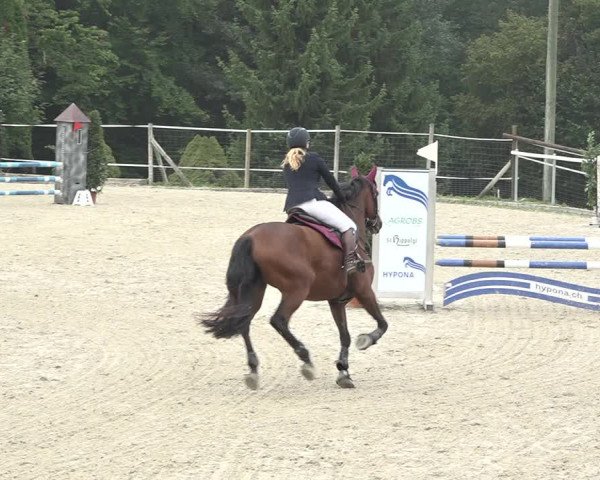 Reitturnier Winkel 2020