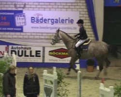 jumper Cermit 17 (Hanoverian, 2010, from Calido I)