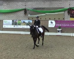 dressage horse Leto 3 (Irish Sport Horse, 2005, from Lux Z)