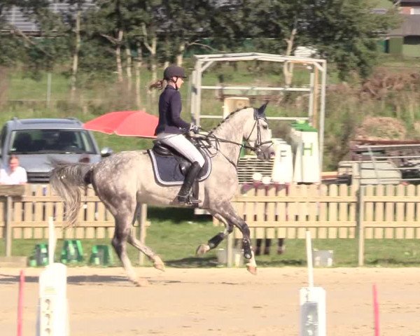 Reitturnier Schülp / Rendsburg 2020